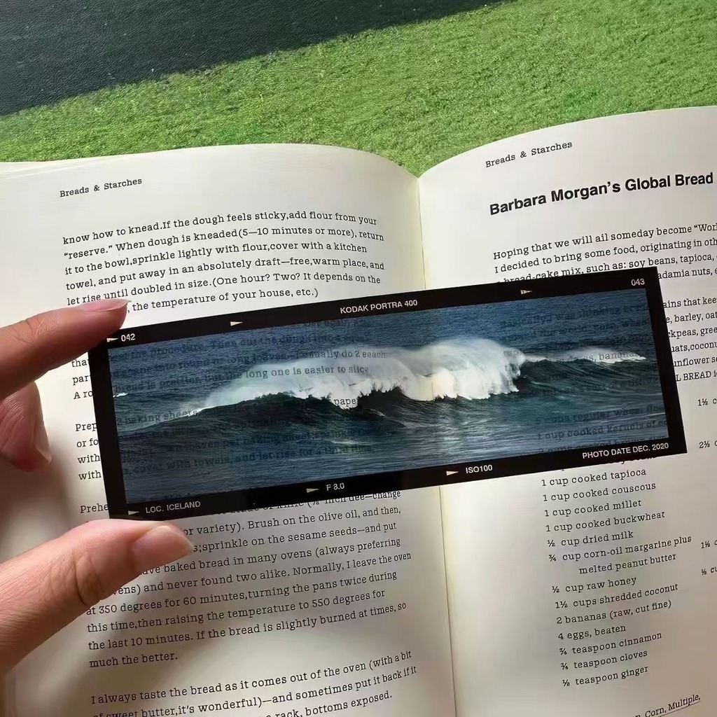 Sea'S Memoirs Lesezeichen im O – Dried Flower Bookmark Bewertung und Preis