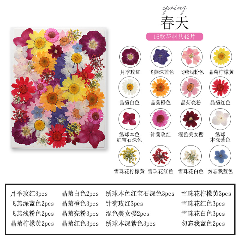 Natürliches Pflanzen-, Blumen- – Dried Flower Bookmark Bewertung und Preis