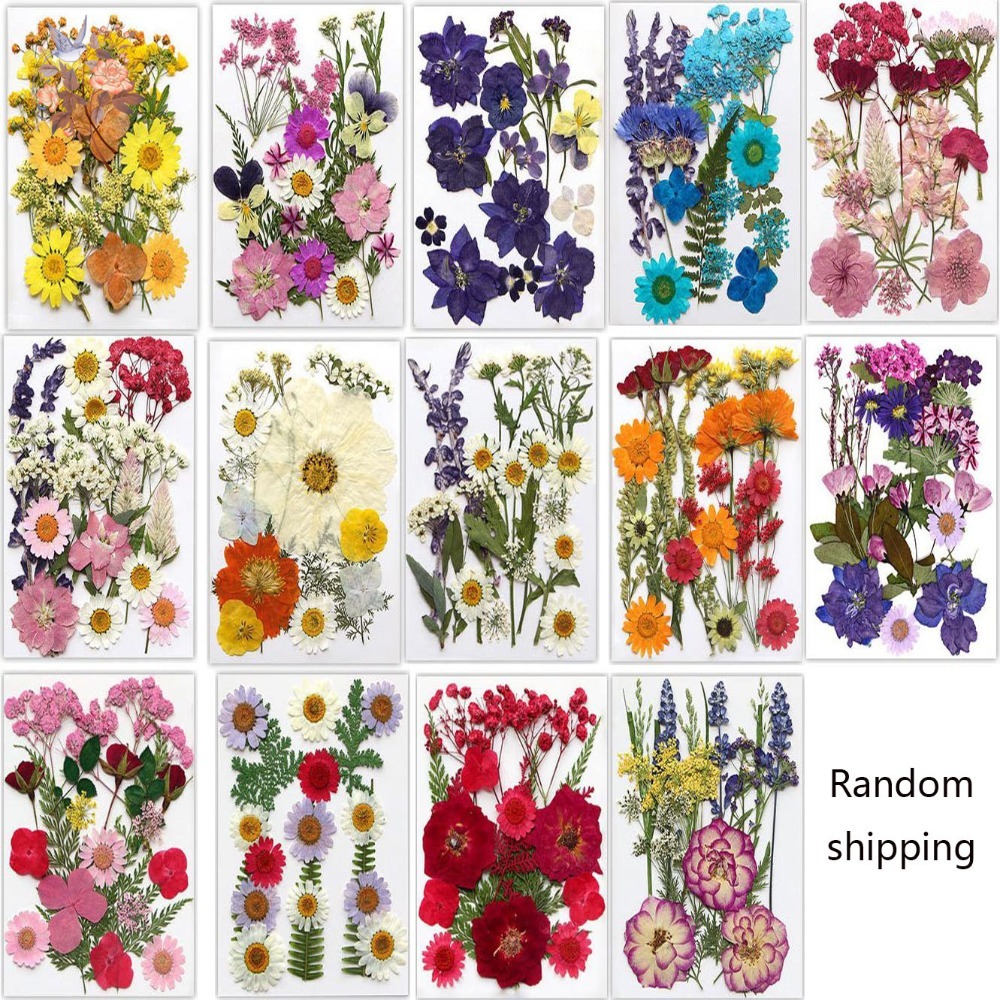Handgemachte gepresste getrock – Dried Flower Bookmark Bewertung und Preis